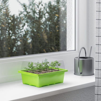 WELLGRO mini siltumnīca ar 6 augu etiķetēm — līdz 12 augiem — apm. 19x14,5x11 cm uz iekštelpu siltumnīcu, plastmasa/celuloze - daudzumu var izvēlēties, daudzums: 3 gabali