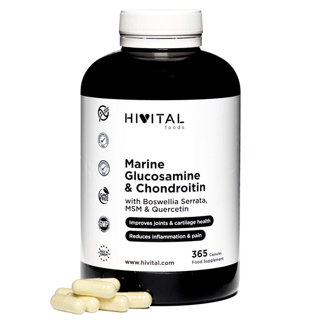 Glikozamīns ar hondroitīnu. 365 kapsulas 4 mēnešu ārstēšanai. Ar 1500 mg jūras glikozamīna 2KCL, jūras hondroitīnu, MSM, Boswellia Serrata un kvercetīnu. Ražotājs: HIVITAL