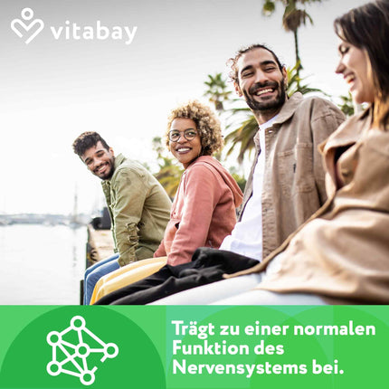 Vitabay magnija malāts 1000 mg augsta deva - 180 tabletes vegāns un laboratoriski pārbaudīts - magnija augstas devas kapsulas - veicina normālu enerģijas metabolismu un normālu muskuļu darbību