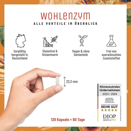 Wohlenzym enzīmu komplekss ar 800 mg bromelaīna (5000 FIP), papaīnu, rutīnu - ananāsu un papaijas vegānisks enzīms - imūnsistēmas* atbalsts - kuņģa sulu izturīgas kapsulas no NATURTREU®