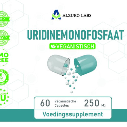 Alzuro Labs uridīna monofosfāts | 250 mg | 60 vegānu kapsulas | Augstas devas smadzeņu, atmiņas un nervu sistēmas atbalsts | 2 mēnešu krājums | Laboratorijā pārbaudīts GMP sertificēts uztura bagātinātājs
