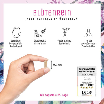 Tīrziedu piena dadža, artišoku, pienenes kapsulas - Aknu komplekss ar holīnu normālai aknu darbībai - Piena dadža augsta deva 80% silimarīns 200 mg - 120 kapsulas
