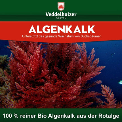 UZVARĒTĀJS 09/2020 Veddelholzer 6 kg organiskais aļģu kaļķis 100% tīrs pulveris no jūraszālēm stiprina buksusa izturību un atjaunošanos pret buksusa kodēm Buksusa mēslojums Dabīgais mēslojums aerosols