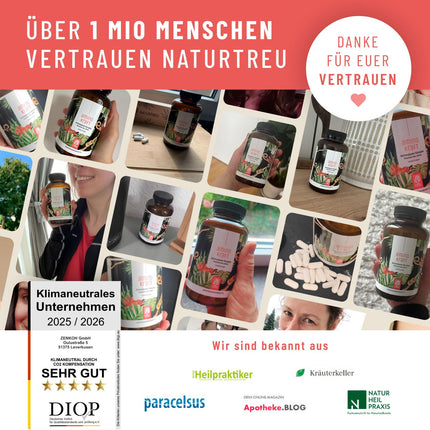 Augstas devas aminoskābju komplekss - 180 vegāniskas aminoskābju tabletes ar 1000 mg katrā dienā ar 12 dažādām aminoskābēm - EAA modeļa tabletes no NATURTREU