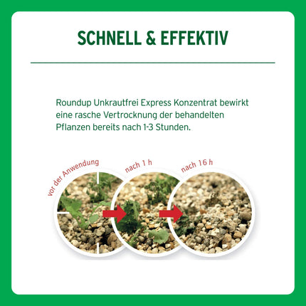 Roundup Weed Free Express, 3 litru smidzināšanas sistēma, gatavs lietošanai aerosols nezāļu, zāles un sūnu apkarošanai