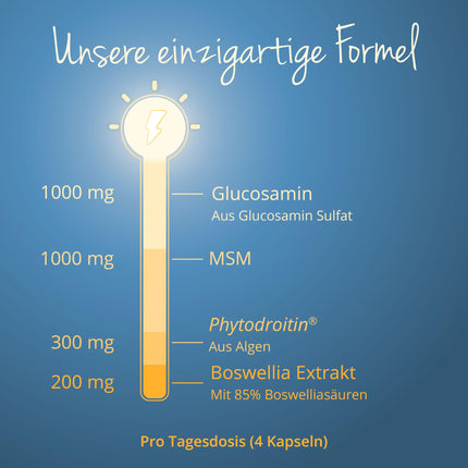 Glikozamīna hondroitīns lielās devās un vegāns | 1000 mg glikozamīna | Ar MSM | Laboratorijā pārbaudīts un vegāns | Bez piedevām | Vegavero® ražots Vācijā