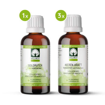 Wellnest Kidney Power Detox ārstēšanas pakete (detoksikācijas ārstēšanas pakete 30 dienu nieru attīrīšanai saskaņā ar Huldas Klārkas metodi) - 100% augu izcelsmes - viegli lietojama, ieskaitot žurnālu