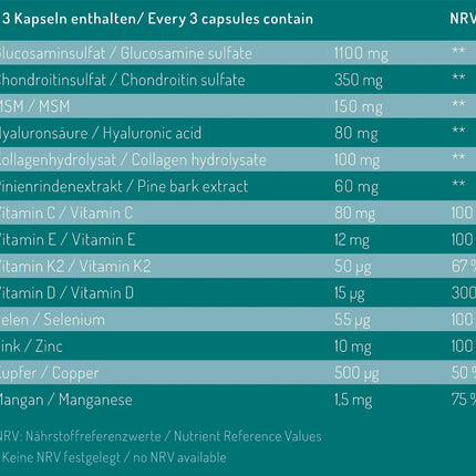 orthobiotix locītavu formula - ar glikozamīnu, hondroitīnu, MSM, hialuronskābi un 10 citām uzturvielām - 90 lielas devas kapsulas