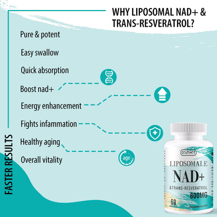 Liposomu NAD+ ar trans-resveratrolu uztura bagātinātāju | Augsta deva: 800 mg vienā porcijā 60 dienas | 60 mīkstās kapsulas | Optimāla absorbcija (60 gabali (1 iepakojums))