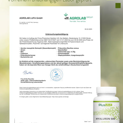 PlusVive hialuronskābes kapsulas ar augstu devu I 1 x 90 kapsulas ar ābolu ekstraktu I 500 mg hialuronskābes ar 500–700 kD vienā kapsulā I Hialuronskābes kapsulas I Uztura bagātinātājs Vegāns un laboratoriski pārbaudīts