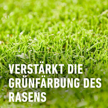 Compo zāliena mēslojums sūnas - nē, paldies! 7,5 kg