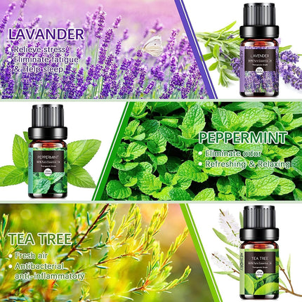 AESHORY ēterisko eļļu komplekts difuzoram 6 x 10 ml, 100% tīra aromterapijas smaržeļļa, aromātisko eļļu dāvanu komplekts ziepēm, svecēm, mitrinātājam, SPA - lavanda, piparmētra, tējas koks, saldais apelsīns, eikalipts
