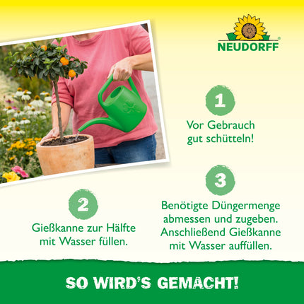 Neudorff Azet citrusaugļu un Vidusjūras augu mēslojums – organisks lēnas iedarbības mēslojums ar mikorizu veicina aromātisku augļu, piemēram, citronu, apelsīnu un olīvu, attīstību, 750 g, brūns