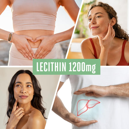 Vitabay Lecitīns 1200 mg | 120 vegānas sojas lecitīna mīkstās želejas | Sojas lecitīns ar fosfatidilholīnu | Pilnībā bioloģisks un bez ĢMO | Vitamīni zīdīšanas laikā ar E vitamīnu | L. Pulvera alternatīva