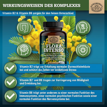 FLORA INTENSO® probiotiķu komplekss 100 miljardi CFU/g - Laboratorijā pārbaudīti 23 baktēriju celmi bez inulīna - Zarnās šķīstošās baktērijas ar laktobacilām + bifidobaktērijām - DE-SCHEUNENGUT®