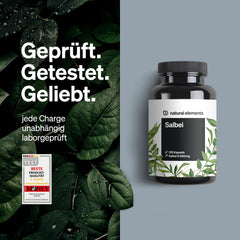 Salvija – 120 kapsulas – 6000 mg salvijas dienā – salvijas ekstrakts 10:1 – vegāns, augsta deva, bez nevajadzīgām piedevām – ražots Vācijā un laboratorijā pārbaudīts
