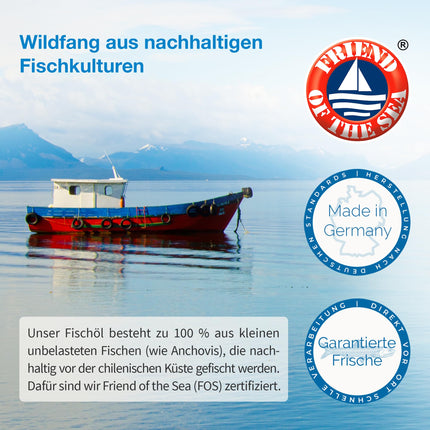 Augsti attīrītas Omega 3 zivju eļļas kapsulas ar 1000 mg Omega-3 taukskābēm (300 mg DHA un 400 mg EPA) – triglicerīdu veidā – 3 mēnešu krājumi