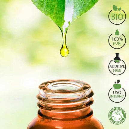 Rozmarīna eļļas organiskā ēteriskā eļļa 100% tīra 30 ml - Aromterapijas kosmētiskā terapeitiskā iedarbība - Laborbio