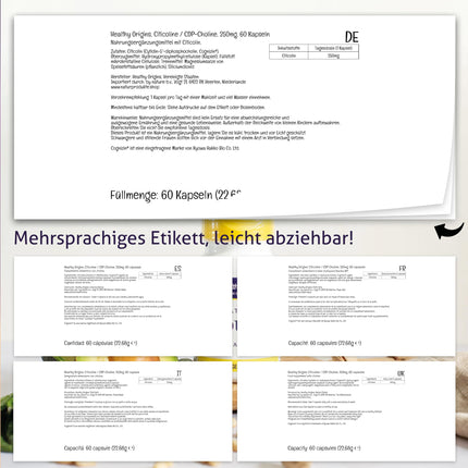 Healthy Origins, citikolīna CDP-holīns ar kognizīnu, 60 vegānas kapsulas, 250 mg citikolīna vienā devā, bez glutēna, bez sojas, bez ĢMO, bez garšas