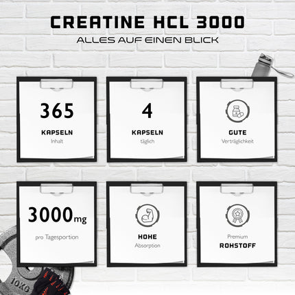 Kreatīna HCL - 365 kapsulas - augsta deva ar 3000 mg - tīrs kreatīna hidrohlorīds - augsta absorbcija - augsta biopieejamība - vegāns