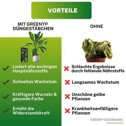 Greenyp 50x universāls mēslojums zaļajiem augiem mēslojuma stienīši visiem zaļajiem augiem, istabas augiem un balkona augiem I ilgtermiņa mēslojums NPK mēslojums ar papildu dzelzi un 3 mēnešu mēslošanas spēku