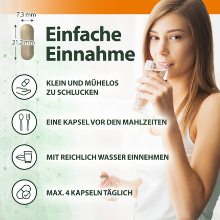 GALLMET žultsskābe, vērša žults, 60 kapsulas, 100 mg + garšaugi 37,5 mg, gremošanas enzīmi aknām, žultij, vēdera uzpūšanās, taukainām aknām, laktozes nepanesībai, gastrītam, zarnu attīrīšanai, vērša žultij, žults sāļiem