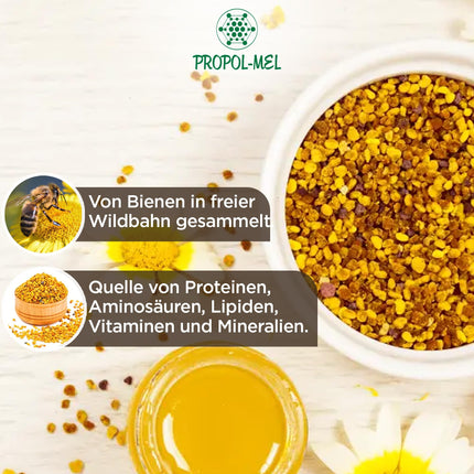 Propol-mel - ziedu putekšņi (ES) 1 kg – 100% dabīgs produkts. Tīri dabīgi bišu ziedputekšņi. Olbaltumvielu, kā arī aminoskābju, lipīdu, vitamīnu un minerālvielu avots.