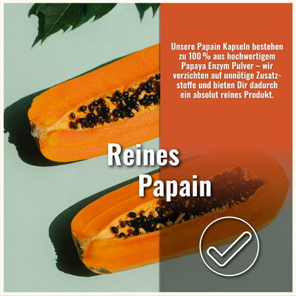 Papaīna kapsulas – 210 Carica Papaijas enzīmu kapsulas – augsta deva – 1500 mg dienā – Papaijas enzīmi bez piedevām – Papaijas gremošanas enzīms – Papaīns