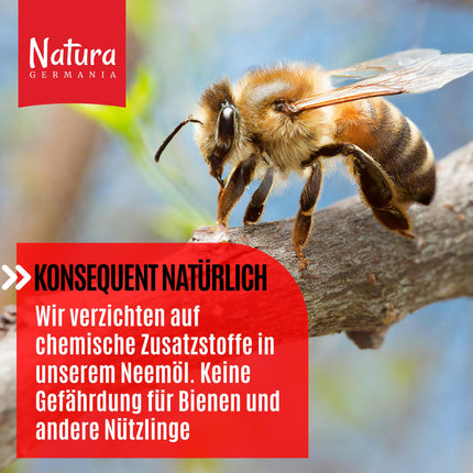 Natura Germania® Nīma eļļa 1000 ml ar ziepju riekstu ekstraktu ar smidzināšanas pudeli un mērtrauku - Pagatavo 100 litrus gatava šķīduma - Nīma aerosols dabiskai augu kopšanai istabas augiem/dārza augiem