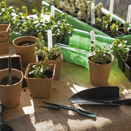 Meister audzēšanas podi 8 x 8 cm - Praktisks 48 podu komplekts - 100% bez kūdras, izgatavoti no PEFC sertificētas celulozes - Bioloģiski noārdāms / Puķupods / Sēklu pods / Augu pavairošana / 9968280