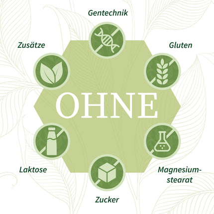 Feinwälder® MSM pulveris, 1000 g – 99,9 % tīrība, augstākā kvalitāte, organiskais sērs, metilsulfonilmetāns bez piedevām