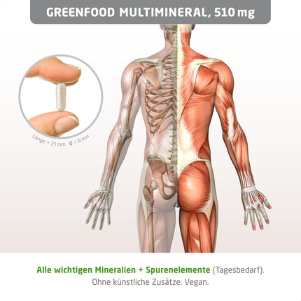 Greenfood multiminerāls, augsta deva, 510 mg - 120 kapsulas, vegāns. Minerālu komplekss un mikroelementi - magnijs, kalcijs, cinks, selēns un jods - kauliem, matiem, nagiem un nerviem. No Greenfood.