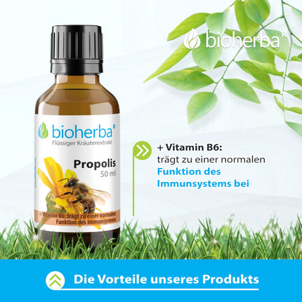 Propolisa pilieni bezalkoholiski – 50 ml tinktūra ar B6 vitamīnu – augu izcelsmes uztura bagātinātājs no BIOHERBA PZN 17187037