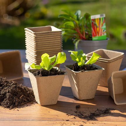 Meister audzēšanas podi 8 x 8 cm - Praktisks 96 gabalu komplekts - Izgatavoti no papīra masas - Bioloģiski noārdāmi / Augu pods / Sēklu pods / Augu audzēšana / WU9968330, Dabīgs