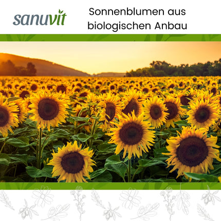 Sanuvit® - BIOLOĢISKAS saulespuķu lecitīna kapsulas | 1200 mg dienā | Augsta deva | Augsta biopieejamība un panesamība | Vegāns | Ražots Austrijā | 180 kapsulas