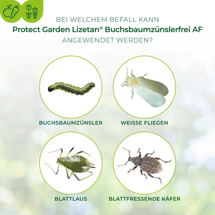 PROTECT GARDEN Lizetan Bukskoku kodēm brīvs AF, lietošanai gatavs aerosols pret bukskožu kodēm, 1 litrs