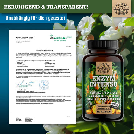 ENZYM INTENSO® bromelaīna kapsulas — SVARĪGI: Laboratorijā pārbaudīta formula ar bromelaīnu (5000 FIP), papaīnu, rutīnu | ananāsu un papaijas enzīms - 120 kuņģa sulu izturīgas kapsulas - SCHEUNENGUT®