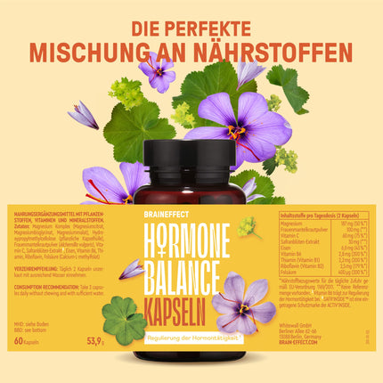 BRAINEFFECT hormonu līdzsvars | Augstākās kvalitātes dabiskā cikla regulēšanas kapsulas PMS un menopauzes ārstēšanai | Bez časteberijas nelabvēlīgās ietekmes | Augu ekstrakti, B6 vitamīns un magnijs | 60 kapsulas