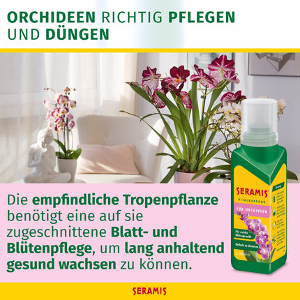 Seramis Vital Food orhidejām, 200 ml – Mēslojums optimālai orhideju augšanai, šķidrs mēslojums ar praktisku dozēšanas palīglīdzekli 4,5 x 4,5 x 17,6 cm, dzeltens