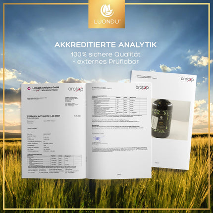 Luondu® MSM 2000 mg ar C vitamīnu dienā - 365 MSM tabletes ar augstu devu - MSM sēra tabletes - MSM ar augstu devu, vegānisks un bez piedevām