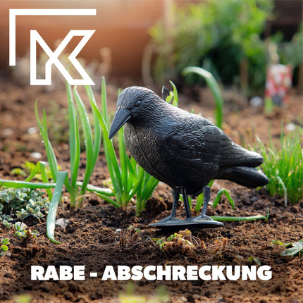 KADAX Black Raven, baložu atbaidītājs un baložu atbaidītājs no plastmasas, putnu atbaidītājs, dabiska kaitēkļu apkarošana, aizsardzība pret kaitinošiem putniem