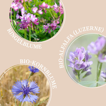 MABYEN Hayflower Sitz Bath 50g | Grūtniecība — vannas piedeva Grūtniecība — dabiska dzemdību sagatavošana kā tvaika vanna vai sēžamā vanna — atslābina iegurņa pamatnes muskuļus un samazina starpenes plīsumu risku