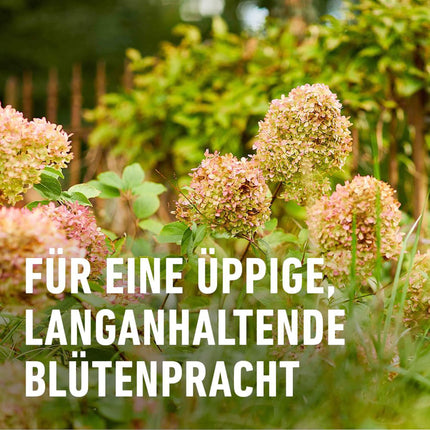 COMPO ziemciešu ilgtermiņa mēslojums 2kg