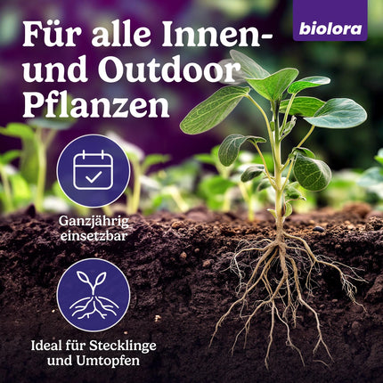 BIOLORA® 25g Turbo sakņu aktivators - spēcīgai sakņu veidošanai spraudeņiem un jauniem augiem - iekštelpām un āra apstākļiem