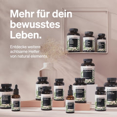 Salvija – 120 kapsulas – 6000 mg salvijas dienā – salvijas ekstrakts 10:1 – vegāns, augsta deva, bez nevajadzīgām piedevām – ražots Vācijā un laboratorijā pārbaudīts