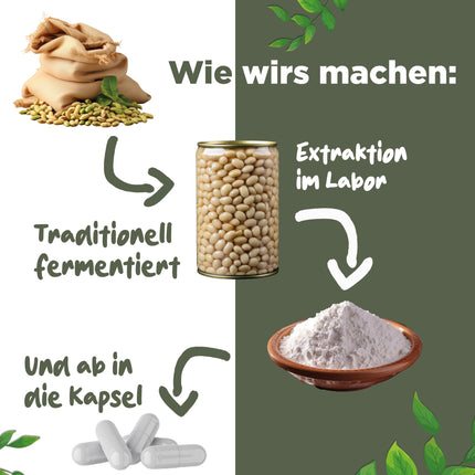 Nattokināze 2000 FU — GADA PIEGĀDE — 365 nattokināzes kapsulas, katra pa 100 mg (20 000 FU/g) — Ražots Vācijā — Augstas devas nattokināze — Natto no sojas — 100% vegāns — Laboratorijā pārbaudīts — BLATTWERK
