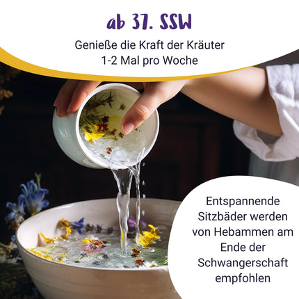 100% ORGANISKAS siena ziedu sēžamās vannas grūtniecības laikā | Siena ziedu vanna dzemdību sagatavošanai no 37. grūtniecības nedēļas - PregniVital®