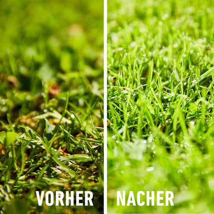 Compo zāliena mēslojums sūnas - nē, paldies! 7,5 kg