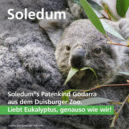 SOLEDUM forte kapsulas 200 mg 50 gab.
