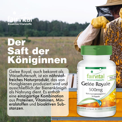 Fairvital | Peru pieniņa 500 mg - 90 kapsulas - AUGSTA DEVA - standartizēta līdz 4% 10-HDA